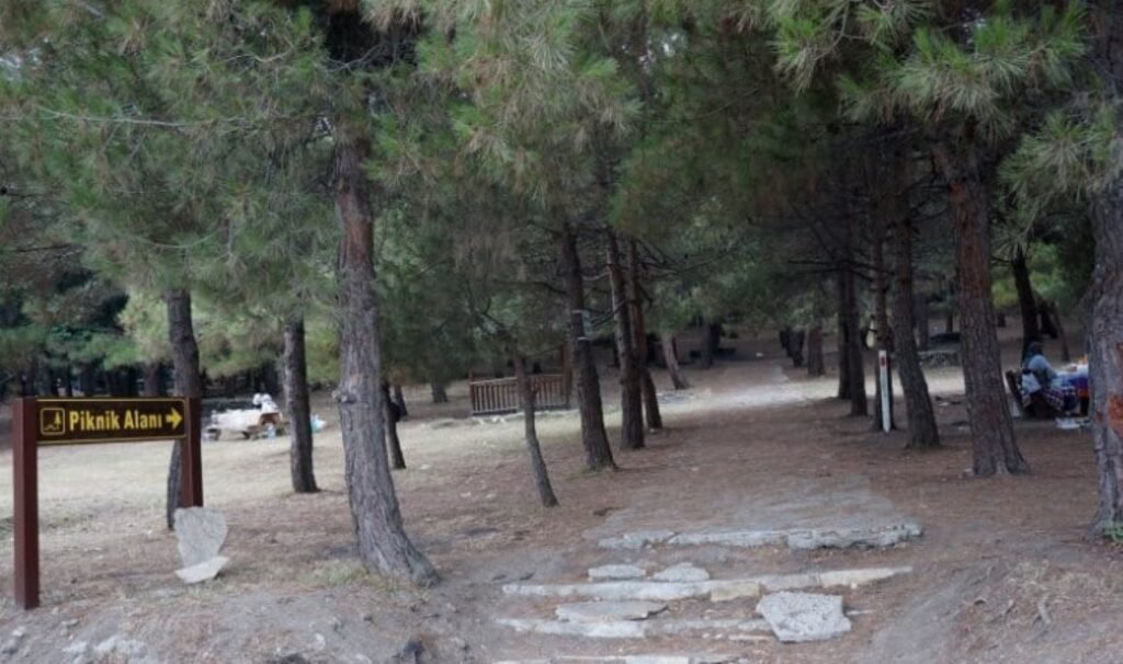 Taş ocağı için katliama tepki