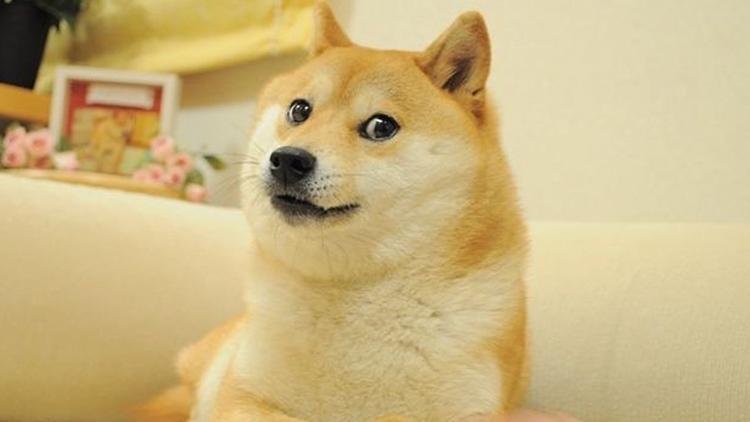 Dogecoin’in simgesi hayatını kaybetti