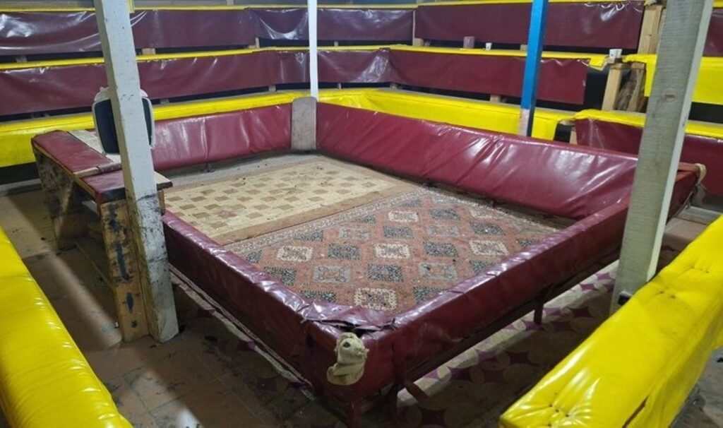 Hayvanları Koruma Derneği’nde horoz dövüştürmüşler