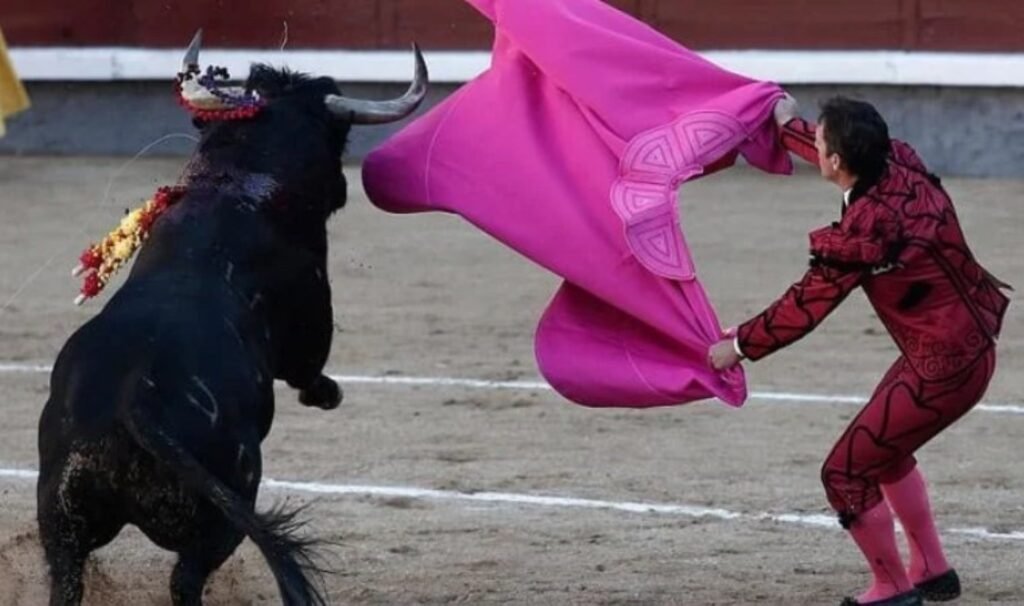 Kolombiya, boğa güreşini yasaklıyor