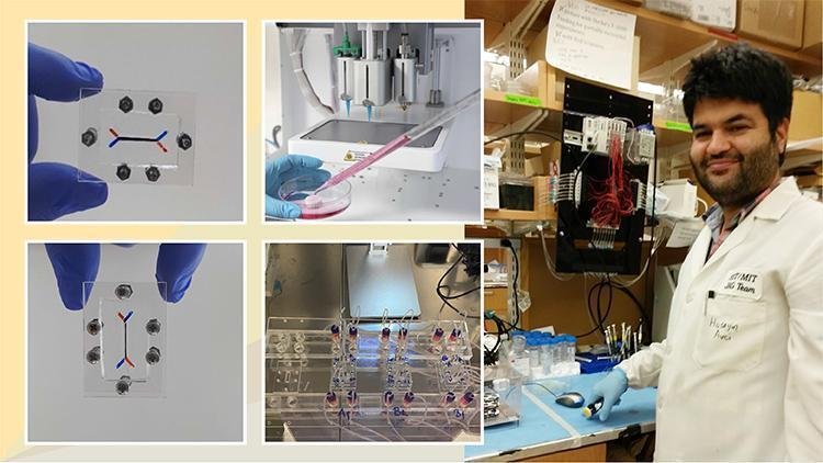 Organları taklit eden ‘çip’ geliştiriliyor