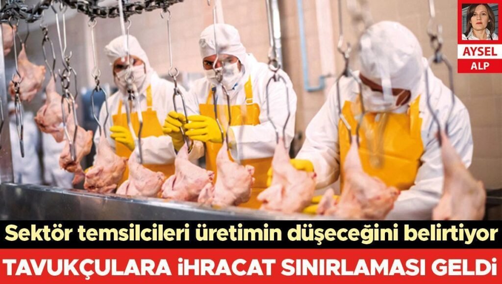 Tavukçulara ihracat sınırlaması geldi… Sektör temsilcileri üretimin daha da düşebileceğini belirtiyor