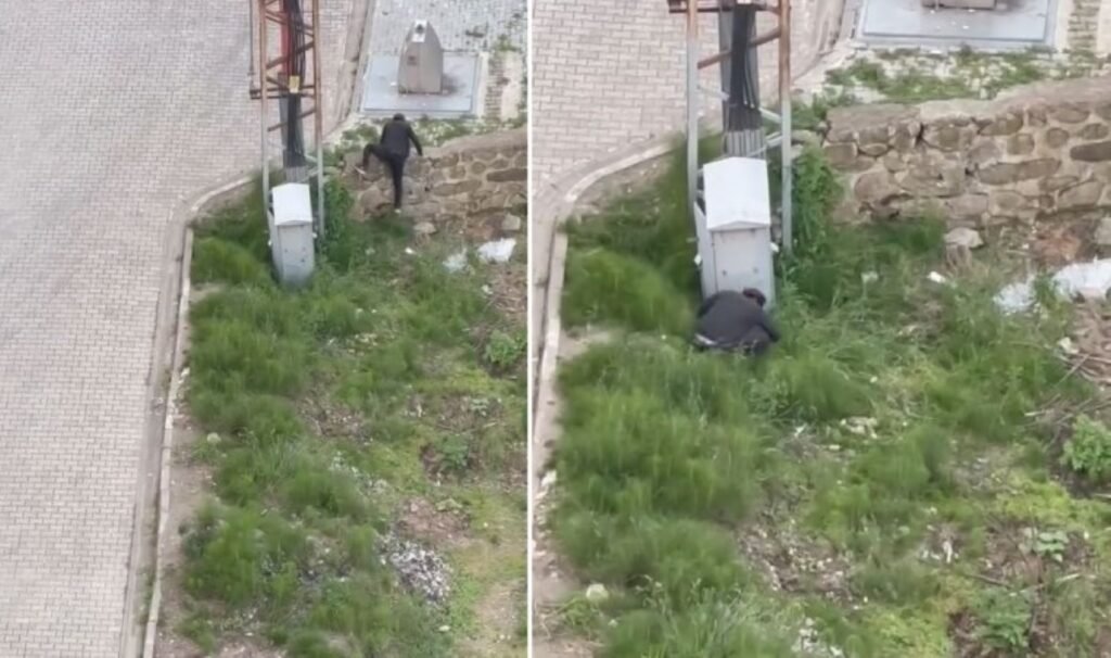 Trabzon’da hayvan cinayeti: Tekmelediği kediyi öldürüp, fırlattı!