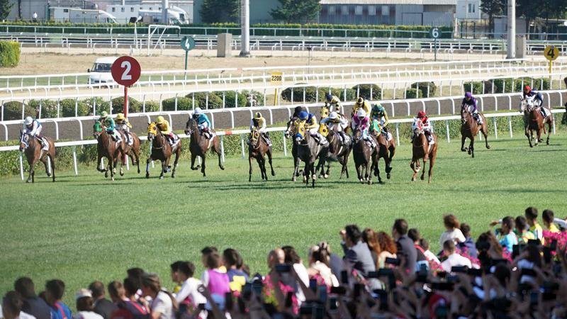 Atçılığın önemini ‘hatırla’tan film