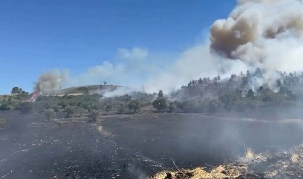 Balıkesir’de anız yangını, ağaçlandırma sahasına sıçradı! Saatler sonra kontrol altına alındı