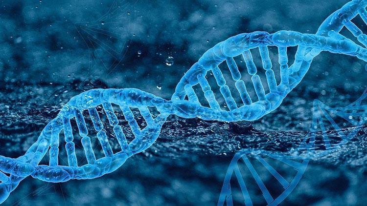 Bazı kişilerin neden Kovid’e yakalanmadığı açığa çıktı