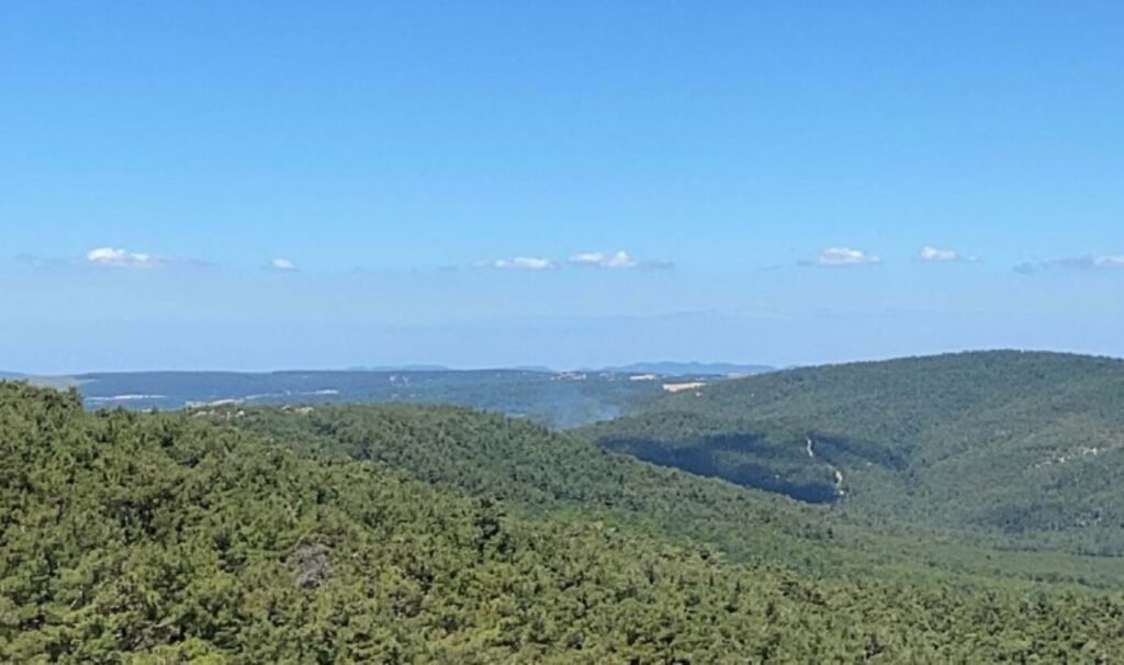 Çanakkale’de orman yangını!