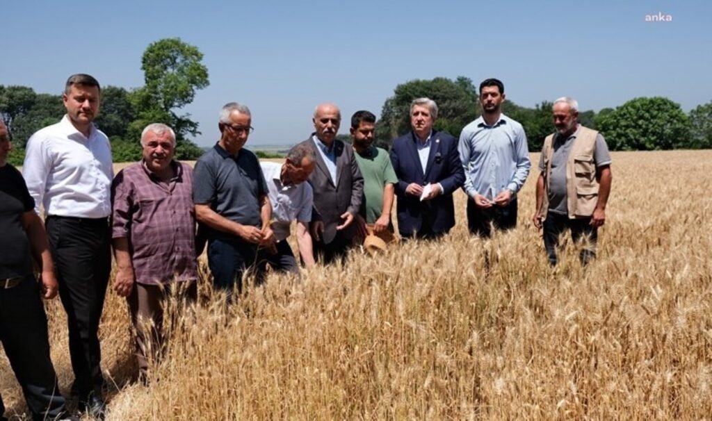 Çiftçi isyan etti: ‘Çalışmayanlar bizden daha rahat’