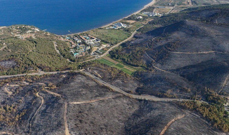 Ciğerlerimiz yandı… İşte ‘sigara izmariti’nin acı bilançosu