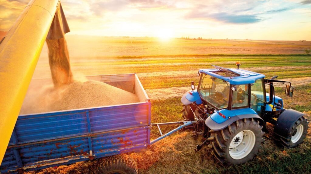 Hububat ihracatının % 7.4’ünü gerçekleştirdi