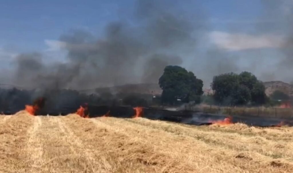 İzmir’de ekin tarlasında yangın: 30 dekar alan kül oldu
