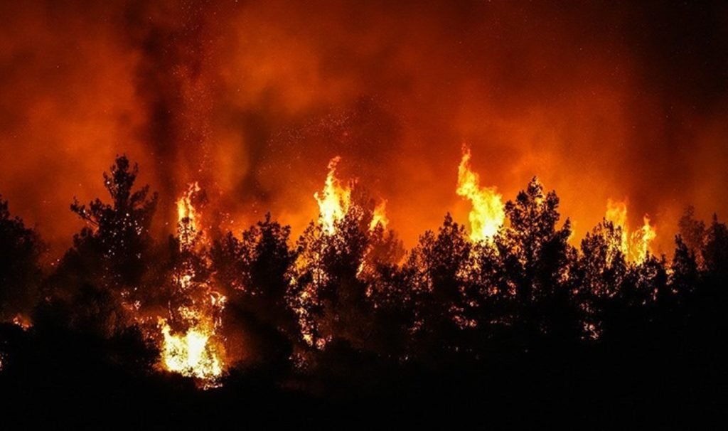 İzmir’deki yangın neden çıktı, söndürüldü mü? Yangın hangi ilçelerde çıktı, ne kadar alan yandı?