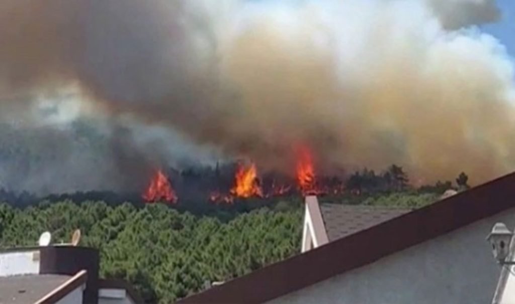 Aydos Ormanı’nda çıkan yangın söndürüldü