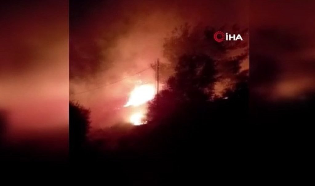 Ayvalık’ta orman yangını: Ekipler müdahale ediyor