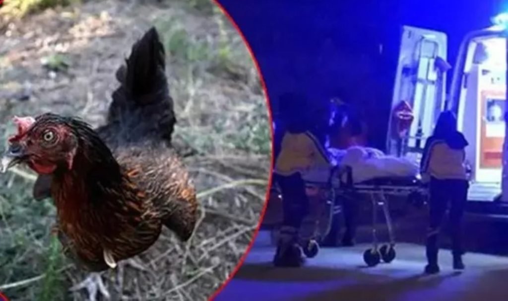 ‘Bahçeye tavuk girdi’ kavgasında kurşun yağdırdı: 2 ölü, 1 yaralı