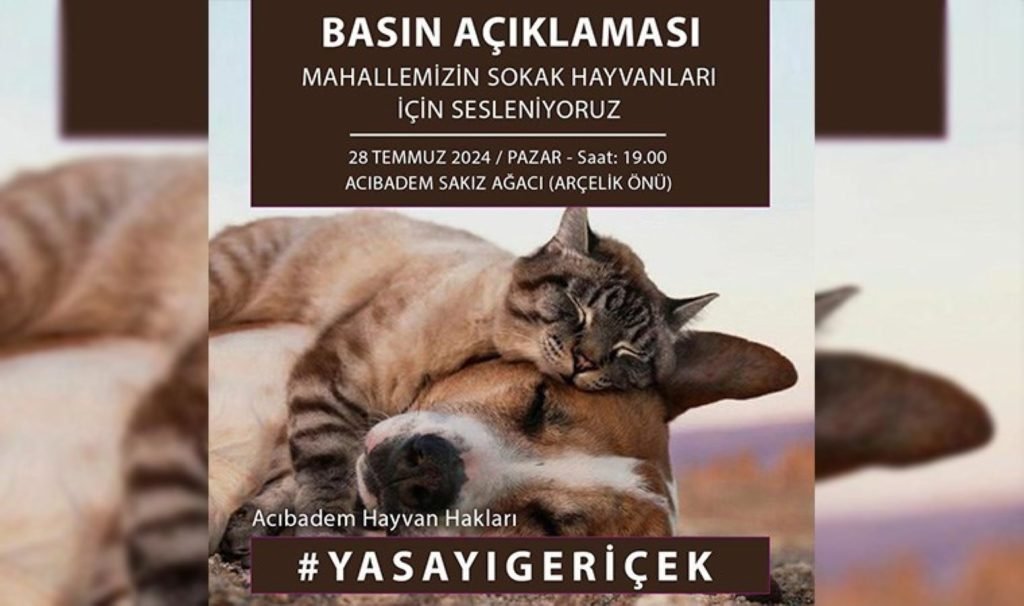 Hayvanseverler ‘mahallelerindeki sokak hayvanları’ için seslenecek