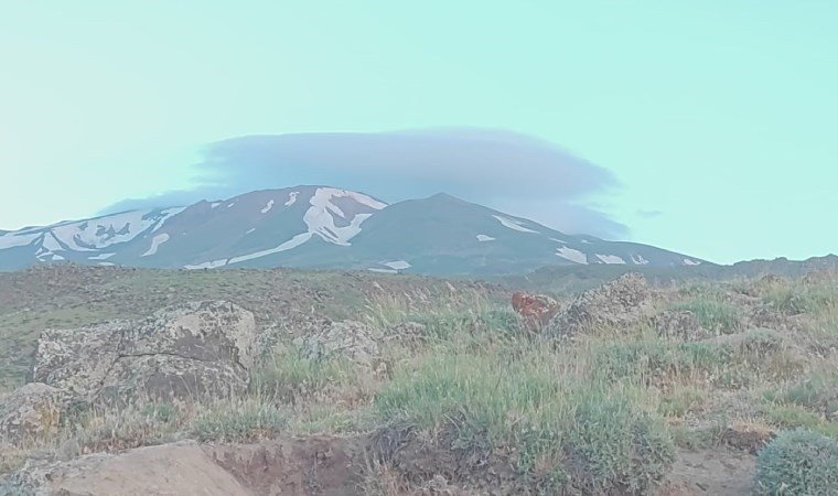 Tablo gibi görüntü… Süphan Dağı’nda mercek bulutu görüldü!