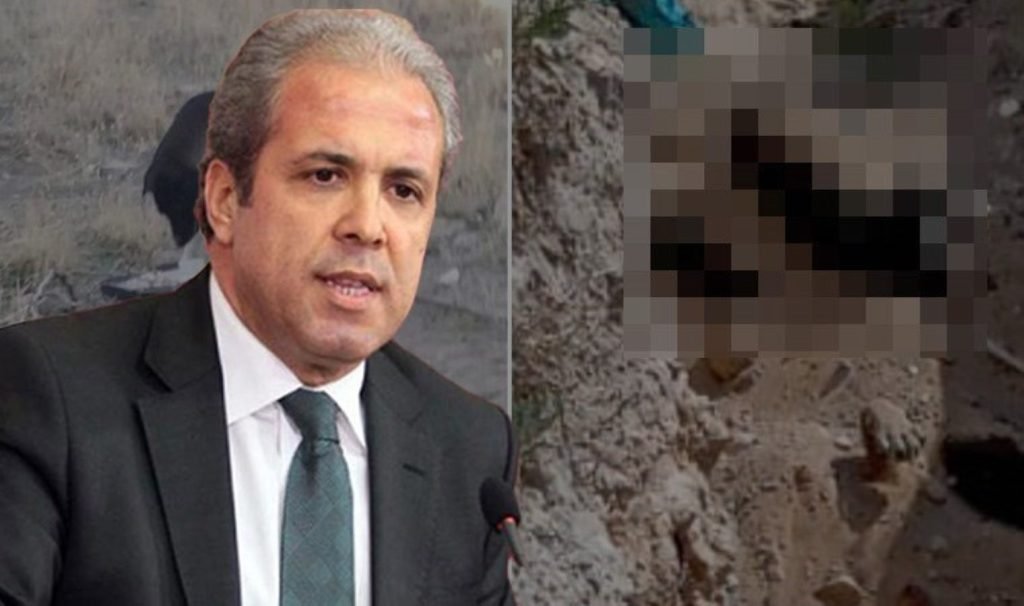 AKP’li Tayyar’dan Erdoğan’a davet: ‘Allah isteği için bu zulmü durdurun’