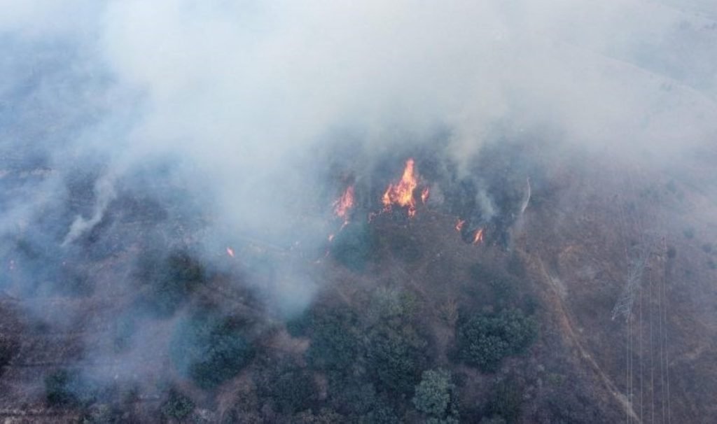 Bilecik’te orman yangını!