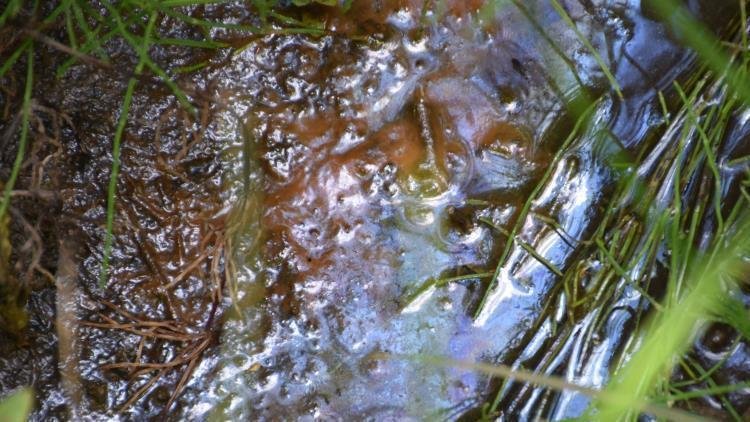 Doğu Karadeniz’de karada petrol heyecanı