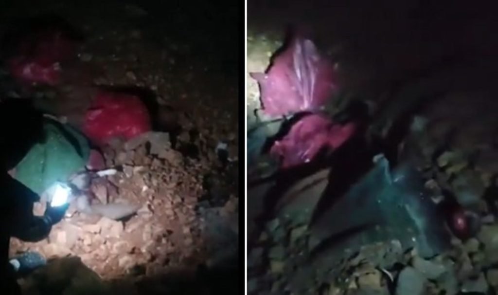 Niğde’den sonra Altındağ’da da köpekler öldürüldü: ‘Binlerce köpek öldürülmüş’