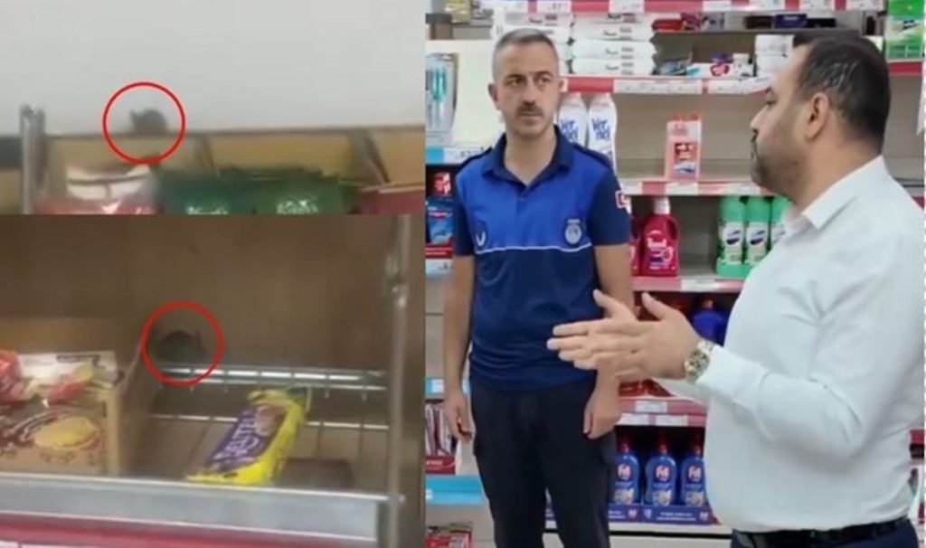 Raflarında farelerin gezdiği A101 şubesi mühürlendi… ‘Abartıldığı kadar yok ancak…’