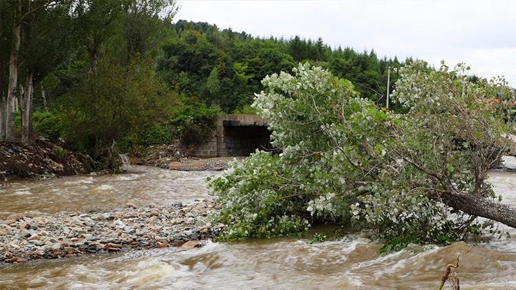 Sudan’da sel: 132 meyyit