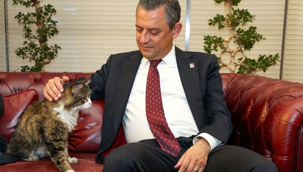 CHP’nin kedisi ‘Şero’ öldü