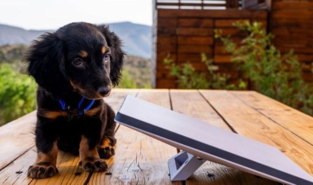 Elon Musk’ın canını sıkacak Starlink araştırmasının sonucu