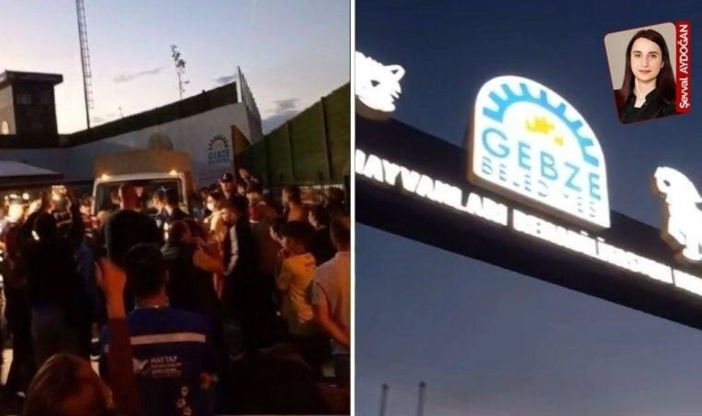 Bahar Ünlüer Öztürk: ‘Barınak kapasitesi kâfi değil’