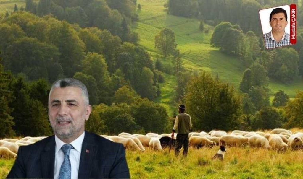 Çoban sorunu tahlilsiz kaldı