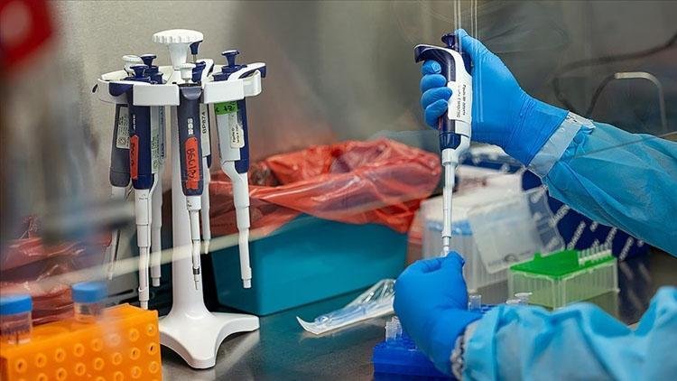 İngiltere’deki birinci M-çiçeği varyantı