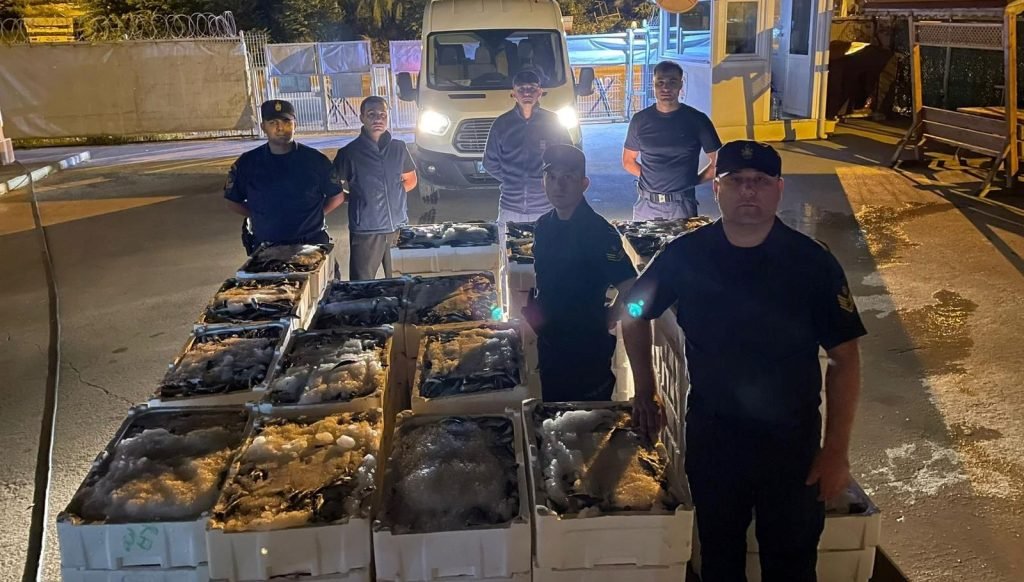 Kastamonu’da limit altında avlanan 162 kasa balığa el konuldu