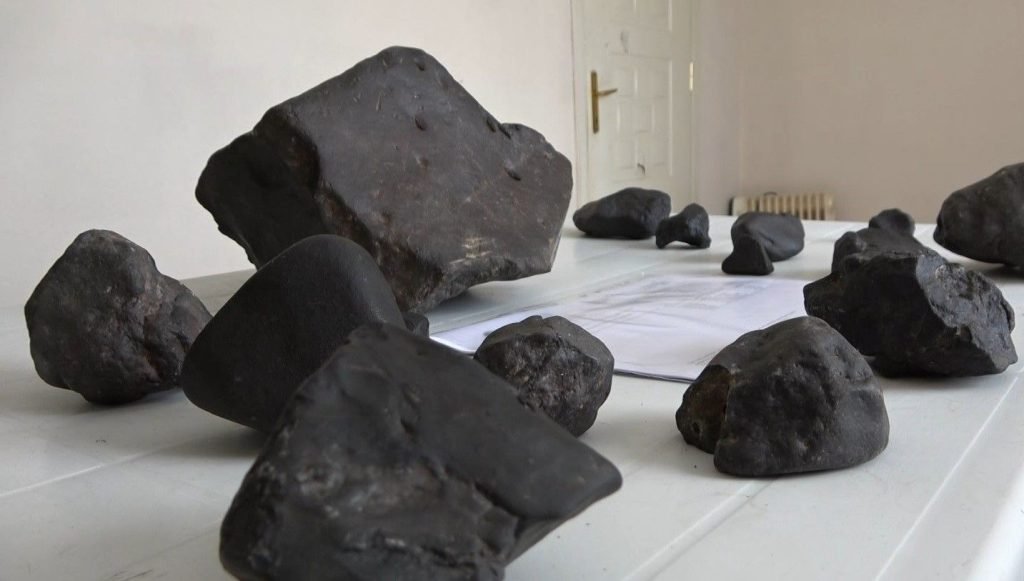 Mantar toplarken bulduğu taşlar göktaşı çıktı