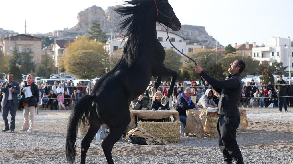 Ürgüp’te ‘at güzellik yarışması’ yapıldı