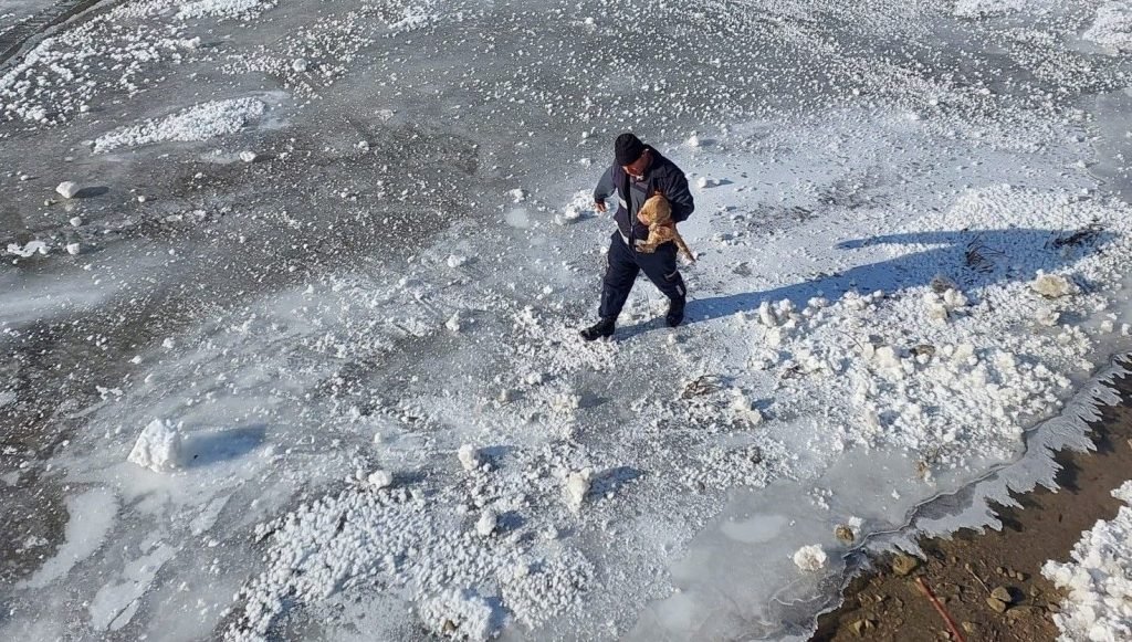 Bayburt’ta buz tutan nehre giren kediyi itfaiye kurtardı