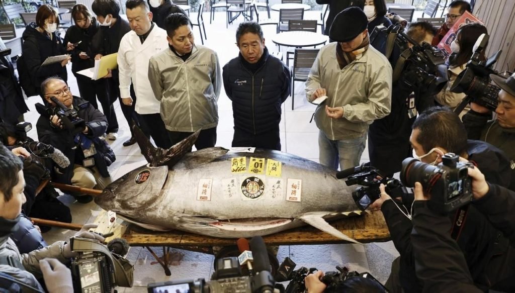 Japonya’da dev balık 1,3 milyon dolara satıldı