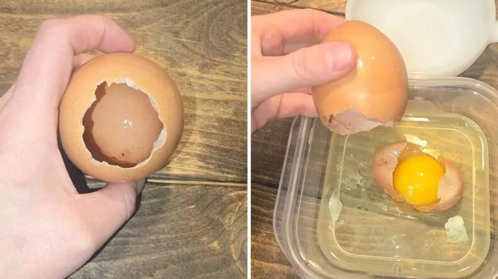 Çiftçiyi şoke eden keşif: Tavuk yumurtasının içinden bir yumurta daha çıktı