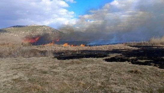 Gölhisar Gölü’ndeki sazlık yangını