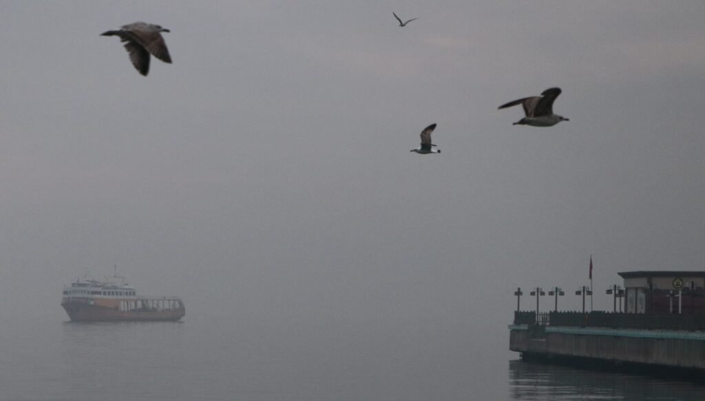 Tekirdağ’ı sis bastı