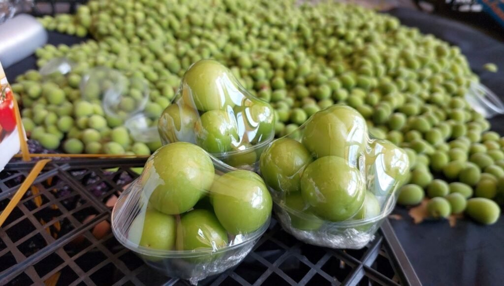 Erikte ilk hasat yapıldı: Kilosu cep yakıyor