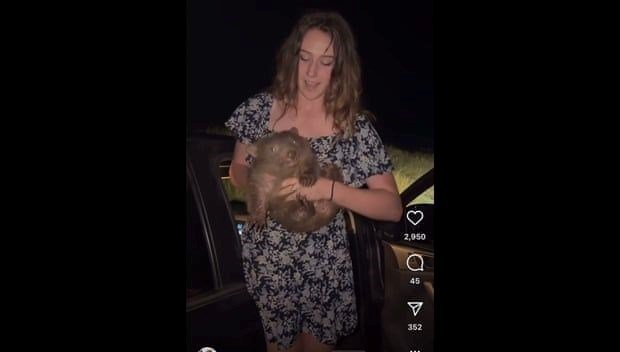 Yavruyu annesinden ayırdığı anları paylaştı, ülkeyi terk etmek zorunda kaldı!