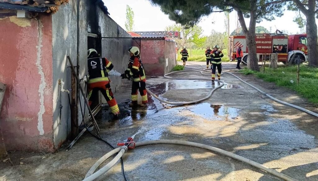Balıkesir’de mandırada yangın
