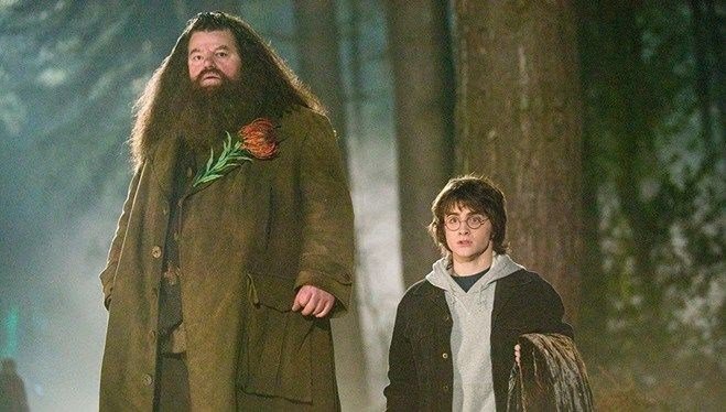 Harry Potter dizisinin kadrosu açıklandı
