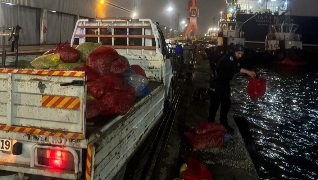 Kaçak midyelere el konuldu