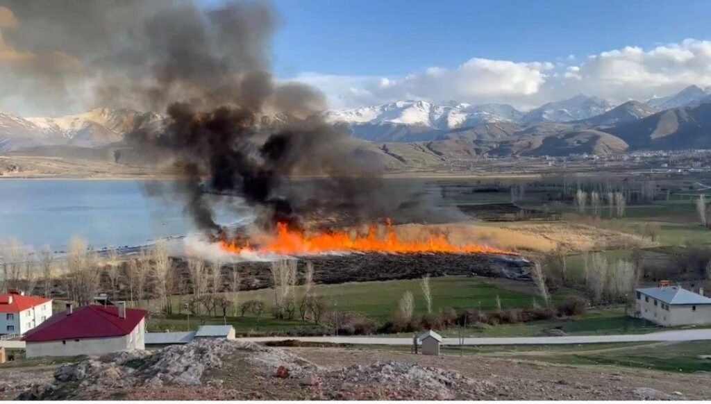Kuş cennetinde yangın! Sazlıkları yaktılar