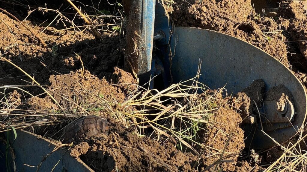 Tarım ve hayvancılık şirketi iflas etti: Mahkeme konkordato talebini reddetti