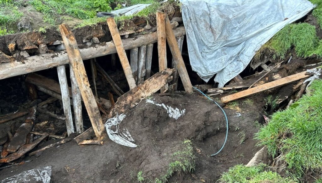Ardahan’da sağanak nedeniyle ahırın çatısı çöktü