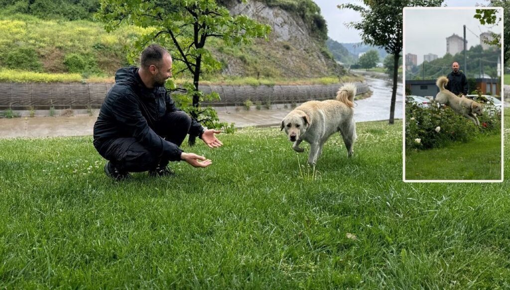 Bankada unutulmuş: Hırsız sandılar “Beyaz” çıktı