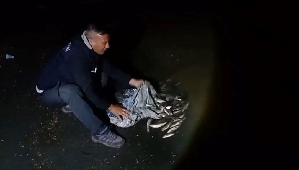 Bir ton inci kefali yakalandı